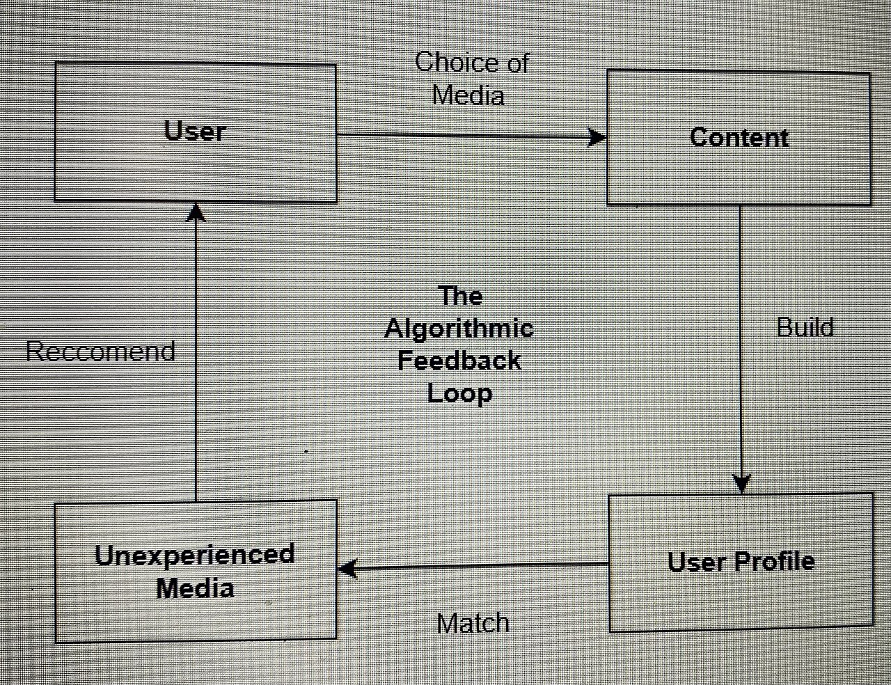File:Feedback-algorithmic-loop.jpg