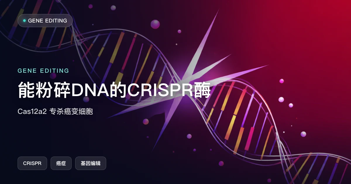 能“粉碎 DNA”的 CRISPR 酶,专杀癌变细胞