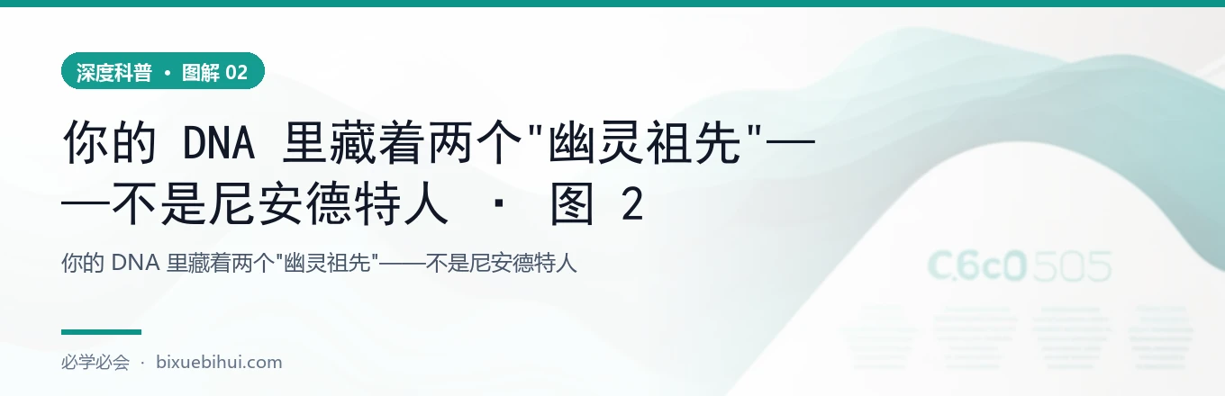 你的 DNA 里藏着两个