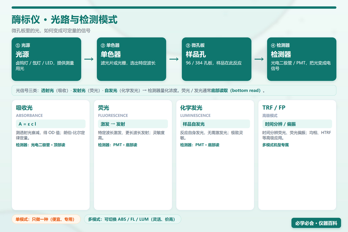 酶标仪工作原理图：光源-单色器-微孔板-检测器光路 + 四种检测模式