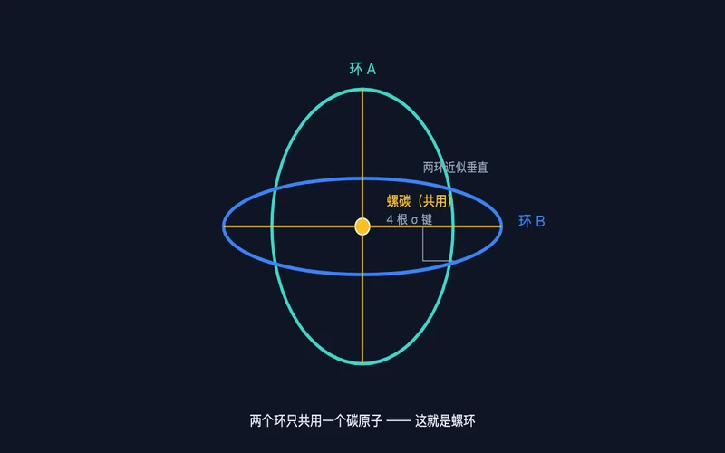 图1：螺环骨架示意——两个环共用一个螺碳，近似垂直