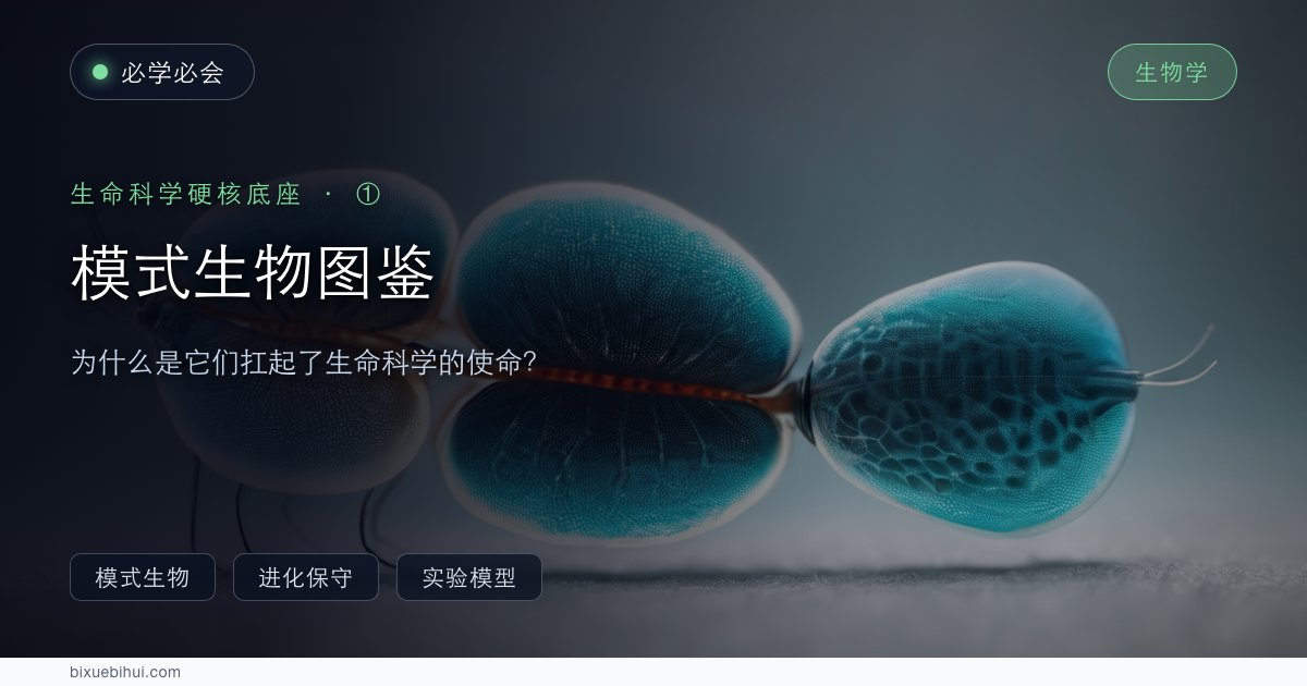 模式生物图鉴:为什么是它们扛起了生命科学的使命?