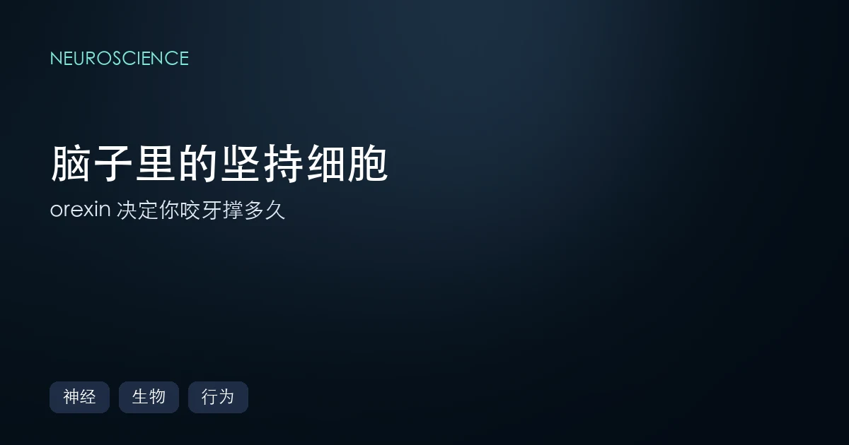 脑子里有一群"坚持细胞":它们决定你能咬牙撑多久