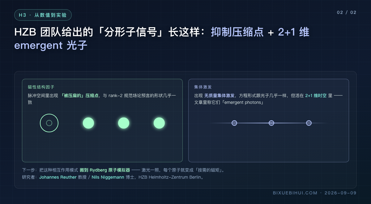 图2：分形子信号与下一步