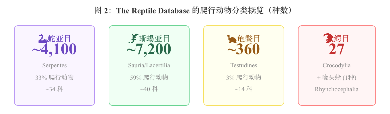 图 2：The Reptile Database 的爬行动物分类概览（种数）