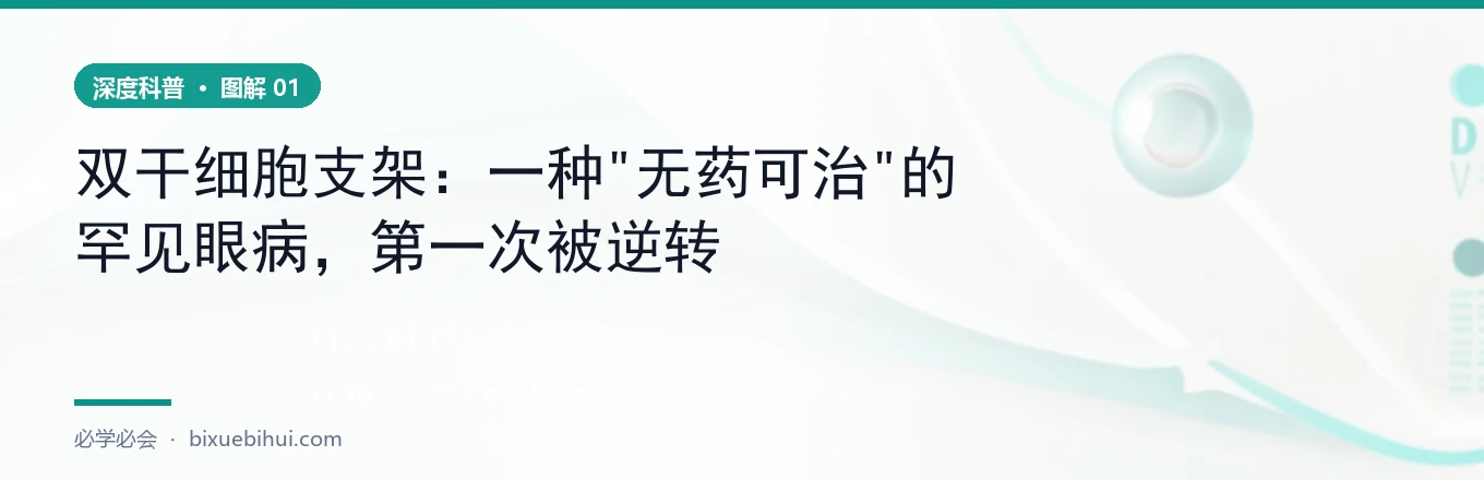 眼表评分：治疗眼 vs 对照眼
