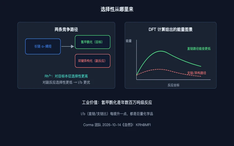图3：选择性的来源——氢甲酰化与双键异构化两条竞争路径，DFT 给出直链路径更低的能垒