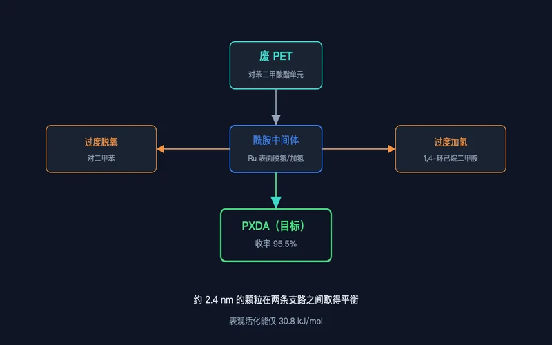 图3：反应网络——目标路径与过度加氢、过度脱氧两条竞争支路