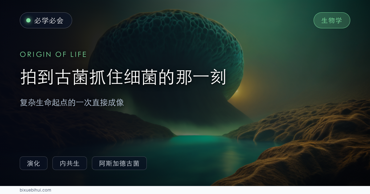 拍到古菌抓住细菌的那一刻:复杂生命起点的一次直接成像