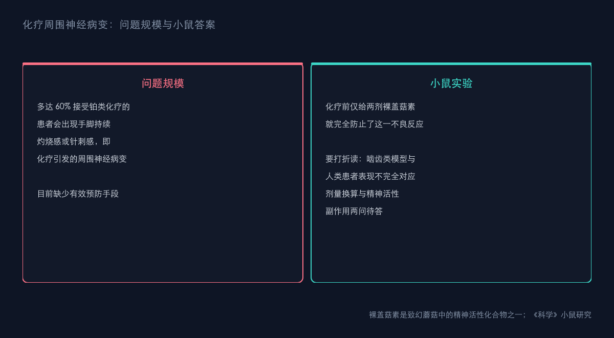 图2：化疗神经病变的规模与小鼠结果
