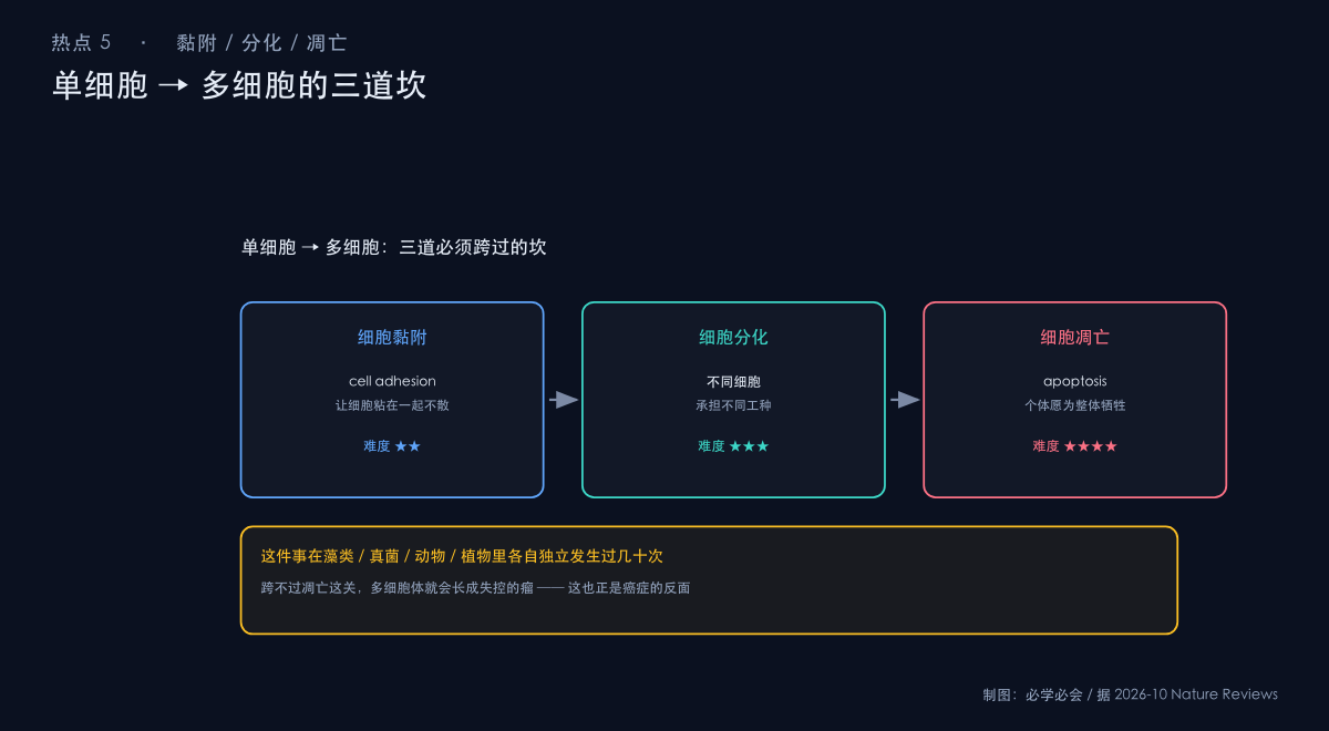 单细胞到多细胞跃迁的关键创新