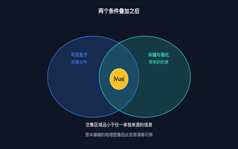图示:可见粒子的角分布信息与纠缠极化约束的交集,交集处即为待提取的矩阵元