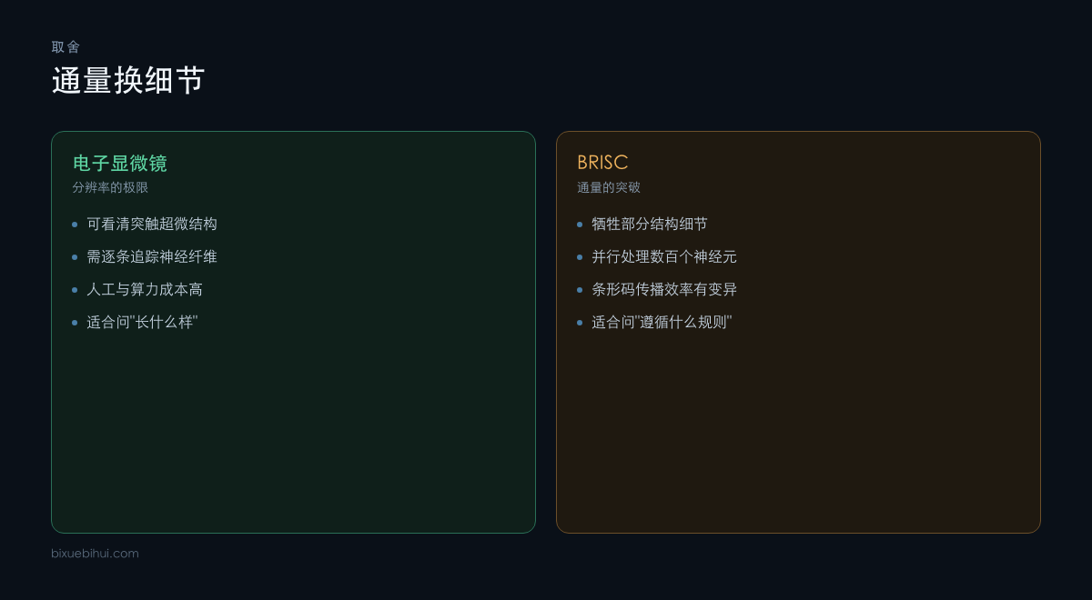 电镜与 BRISC 在分辨率与通量之间的取舍