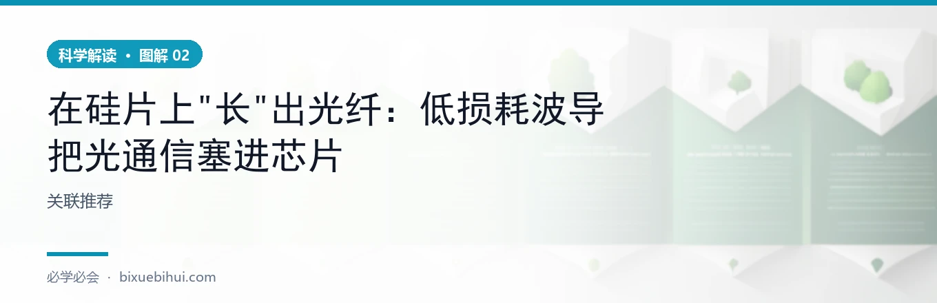 氮化硅波导：基准损耗