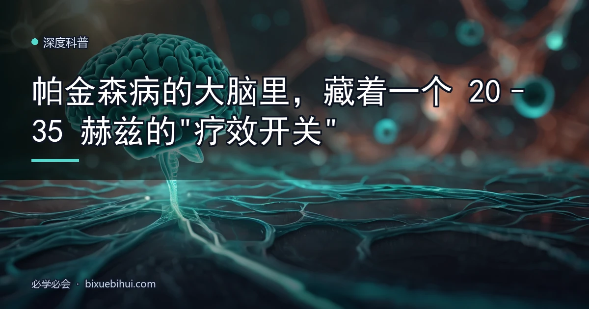 帕金森病的大脑里,藏着一个 20–35 赫兹的"疗效开关"