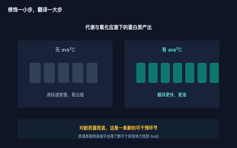 图2：修饰前后的翻译效率差异，以及它对耐药研究的入口价值