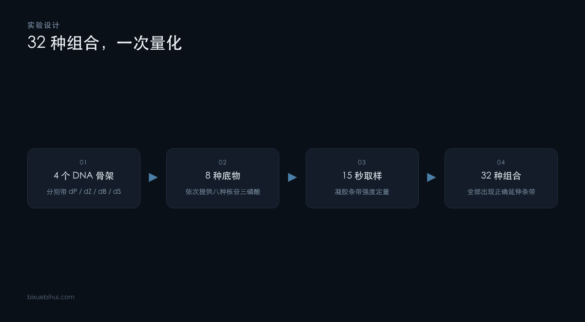 实验设计：四套骨架、八种底物，15 秒取样的 32 种组合