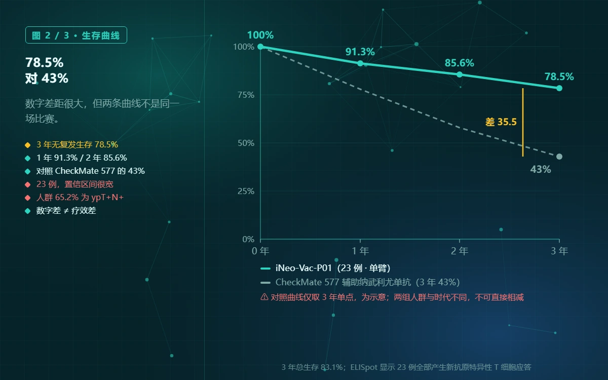 生存曲线对比:单臂队列 vs 历史基准