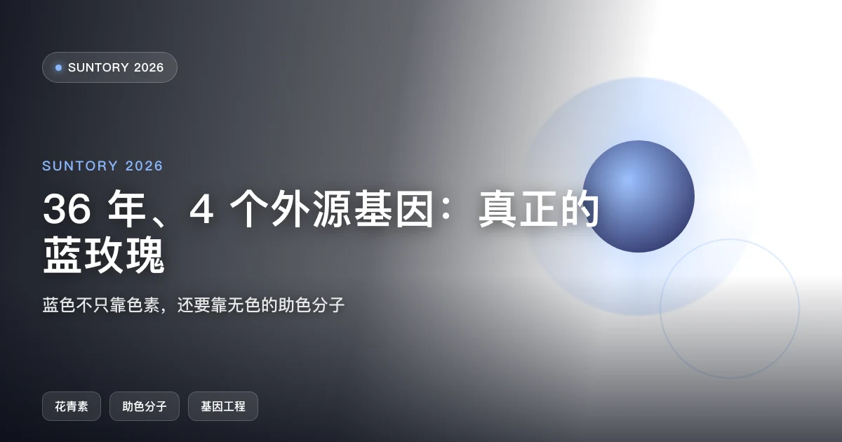 36 年、4 个外源基因:真正的蓝玫瑰开出来了