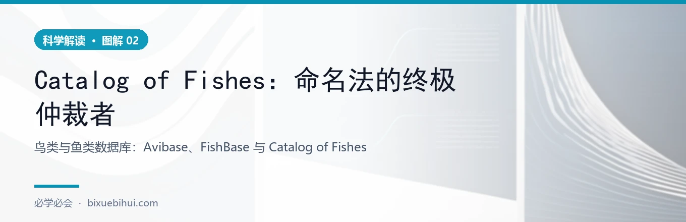 图 2：FishBase 与 Catalog of Fishes 的关系