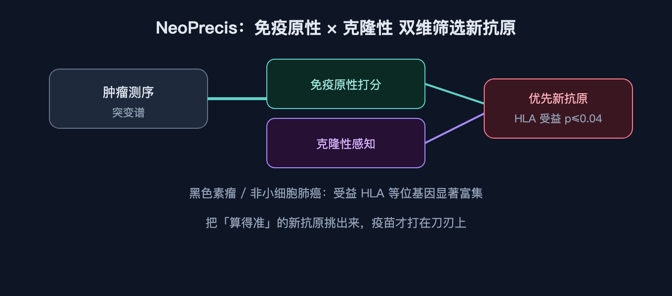 NeoPrecis 同时考虑「免疫原性打分」与「克隆性感知」，输出优先新抗原候选