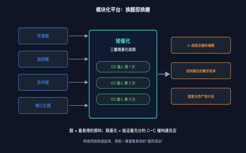 图3：模块化平台——换一种醛就换一种糖骨架，富氧分子组装的