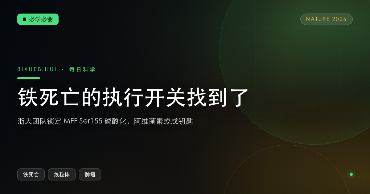 铁死亡的执行开关找到了：浙大团队锁定 MFF Ser155 磷酸化