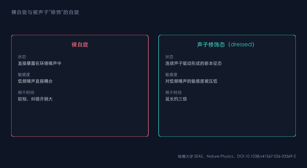 图1：声子驱动保护自旋的原理