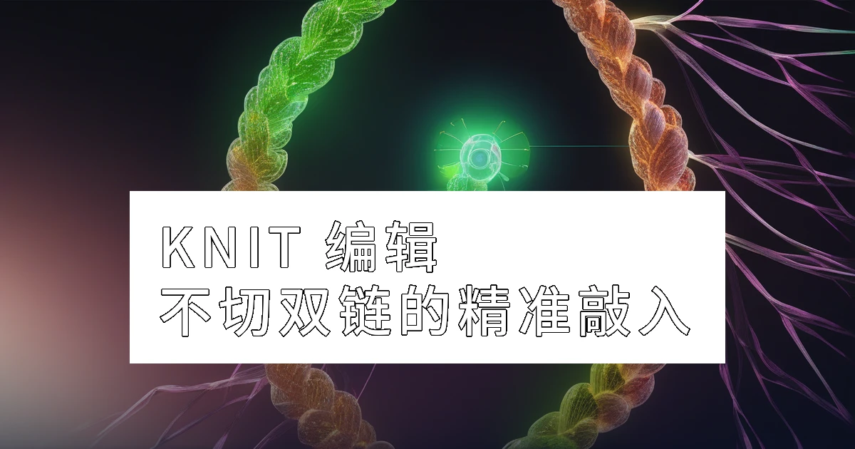 KNIT 编辑:不切双链的精准敲入