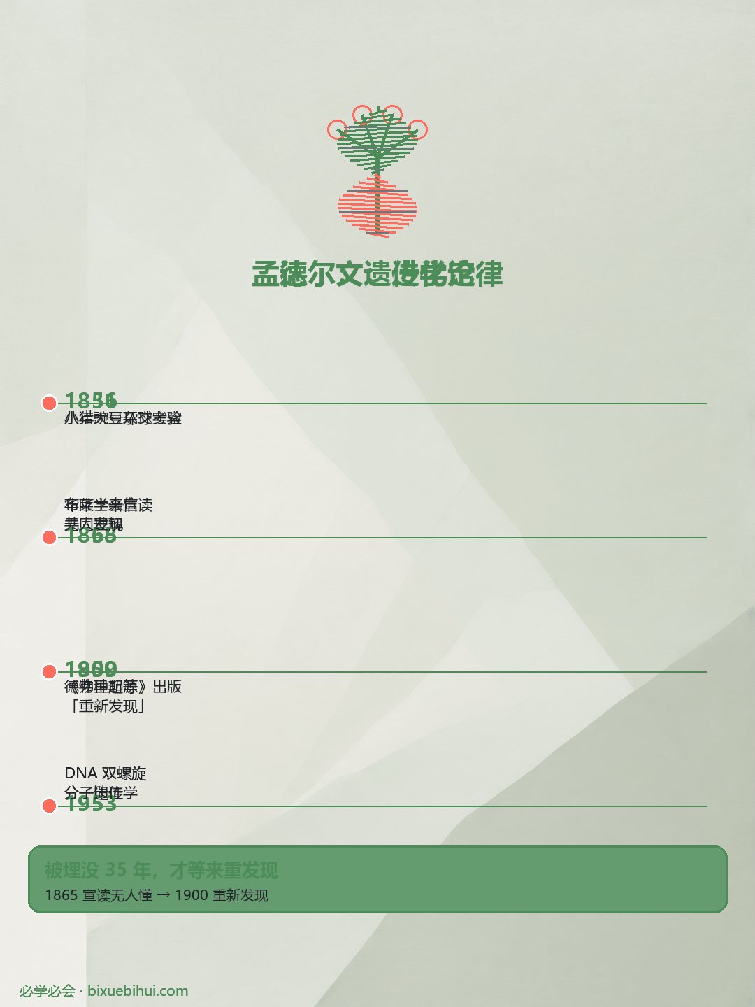 D5 孟德尔信息图速览