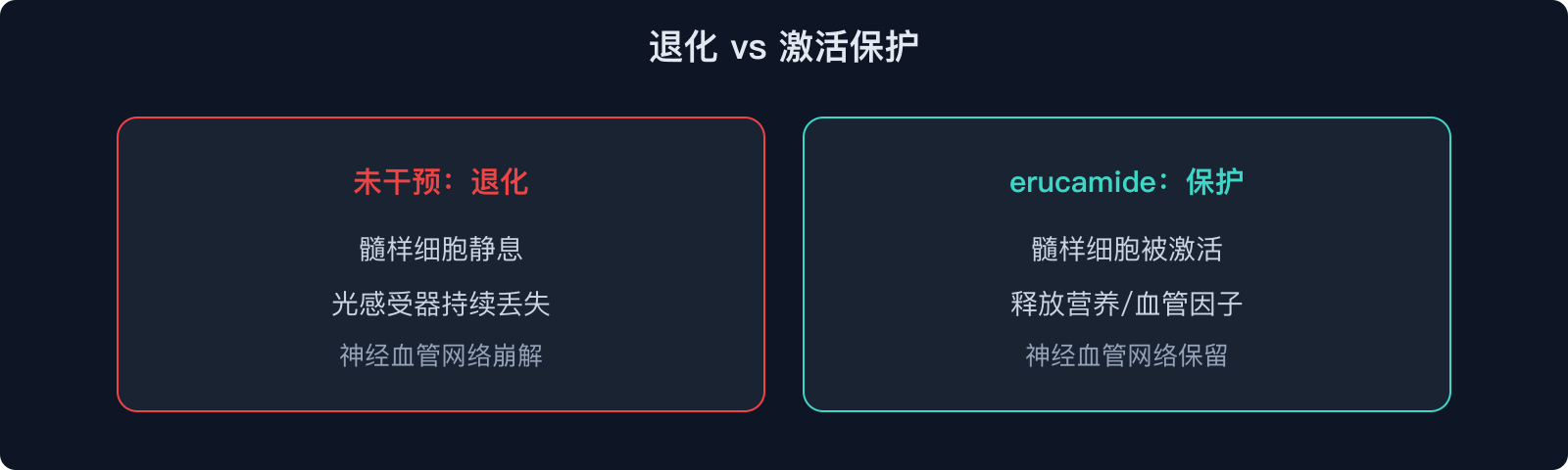 退化 vs 激活保护