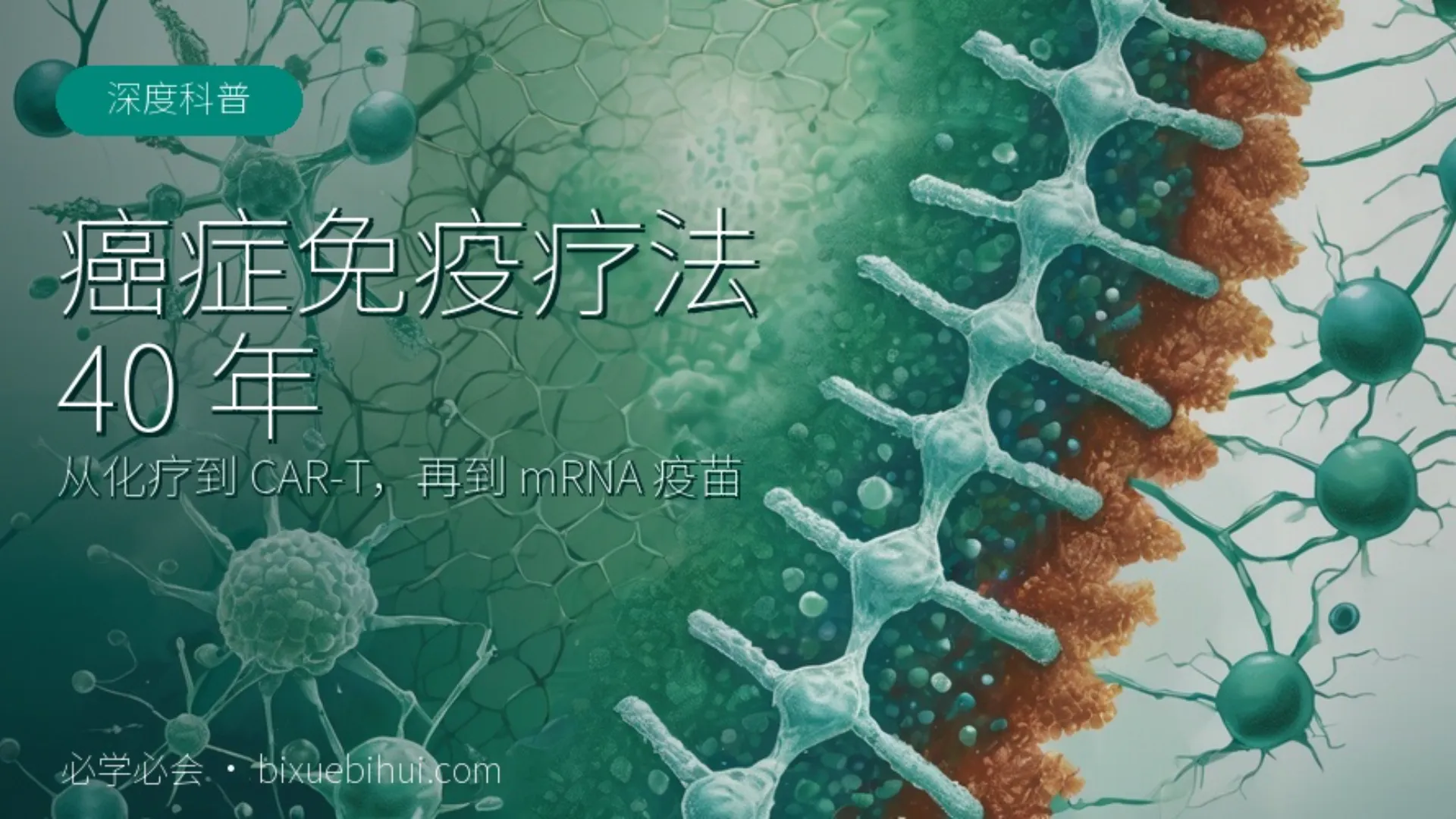 癌症免疫疗法 40 年：从化疗「无差别轰炸」到为每个人定制疫苗