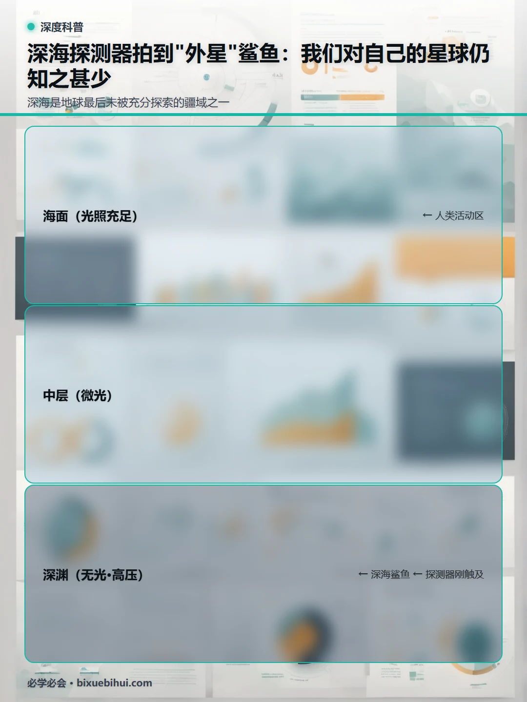 从海面到深渊