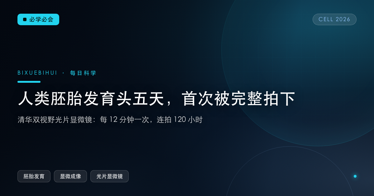 人类胚胎发育头五天，第一次被完整拍下来