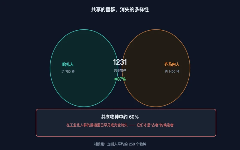 图2：1231 个共享物种——约 60% 在工业化人群中已罕见或消失，它们才是