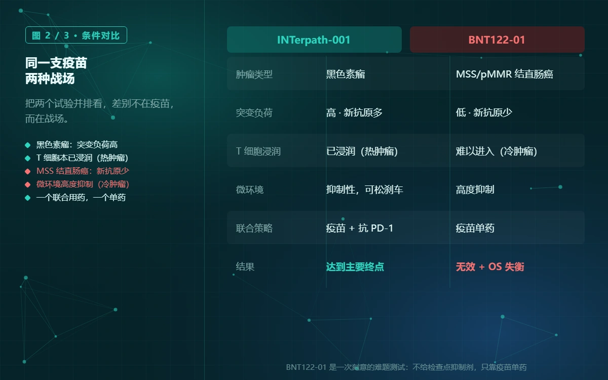 同一支疫苗，两种战场