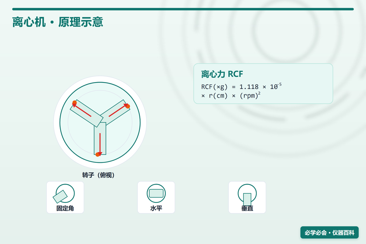 离心机选购与使用全指南:原理 + 参数 + 避坑