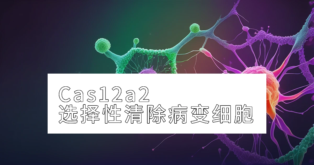 Cas12a2:选择性清除病变细胞的新武器