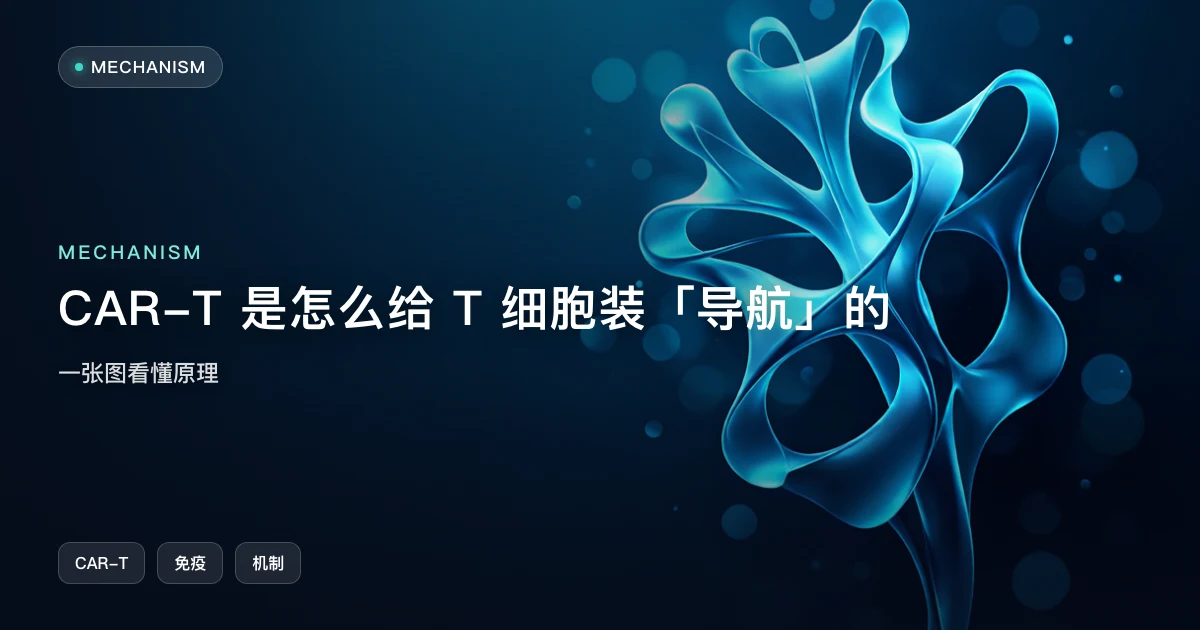 CAR-T 是怎么给 T 细胞装"导航"的:一张图看懂原理