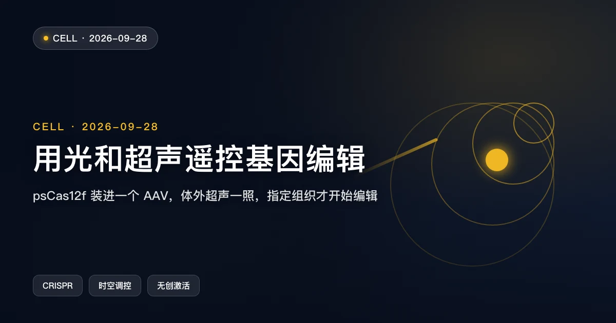 用光和超声遥控基因编辑：Cas12f 装进一个病毒，体外一照就开工