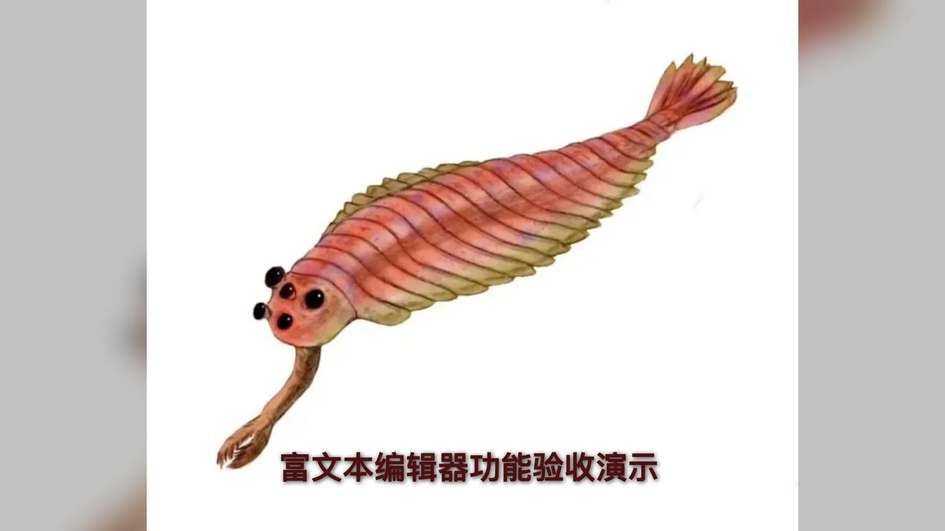 富文本编辑器功能验收演示