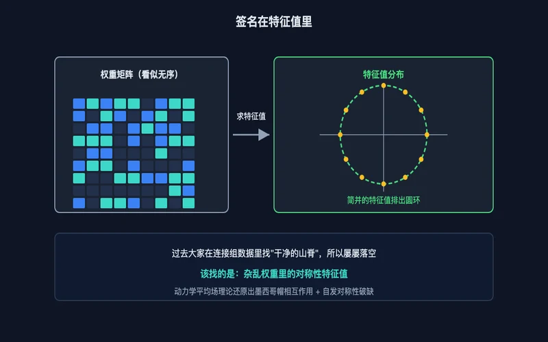 图2：签名在特征值里——看似无序的权重矩阵，其特征值简并排成圆环
