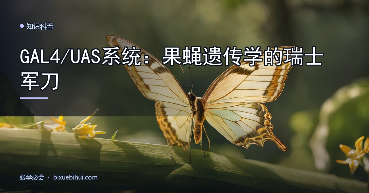 GAL4/UAS 系统:果蝇遗传学的瑞士军刀