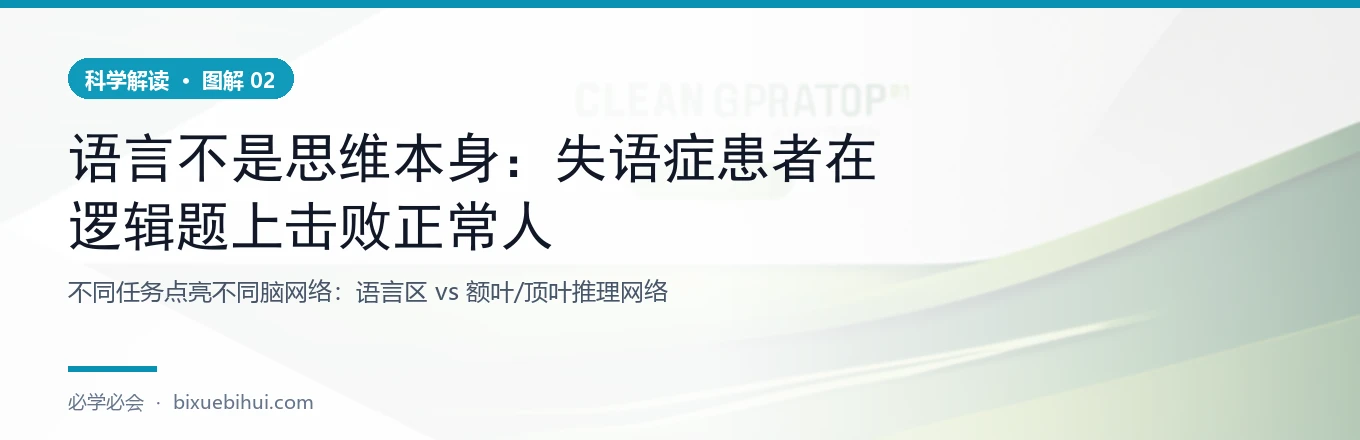 不同任务点亮不同脑网络