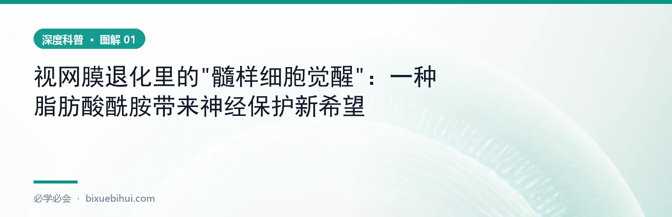退化 vs 激活保护