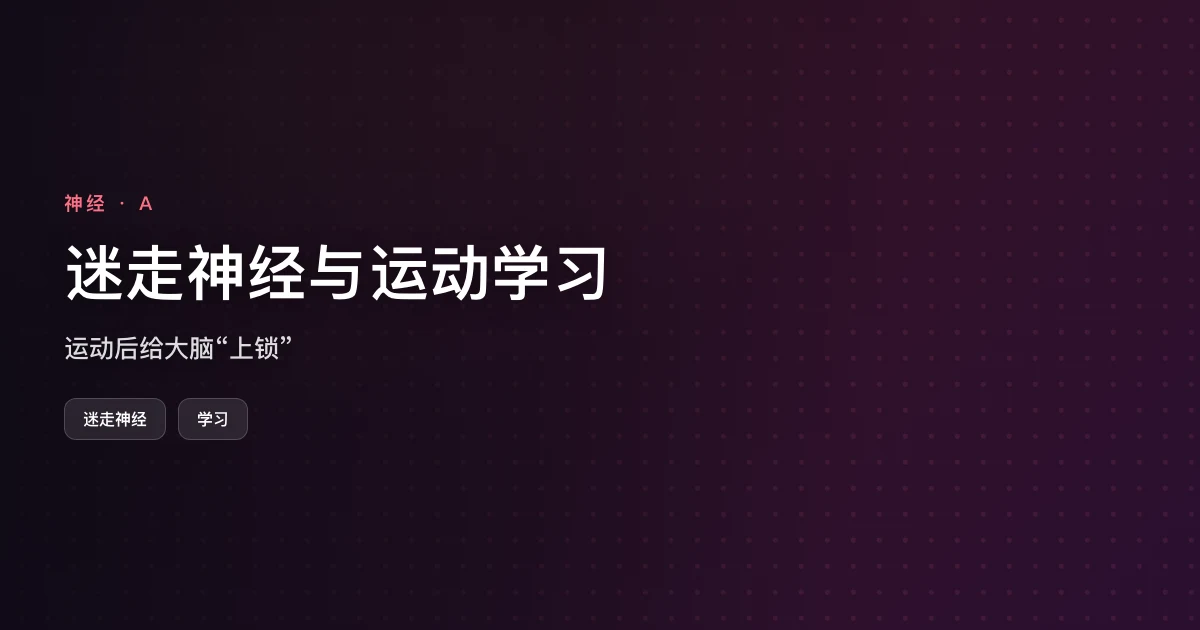 迷走神经与运动学习:运动后给大脑“上锁”