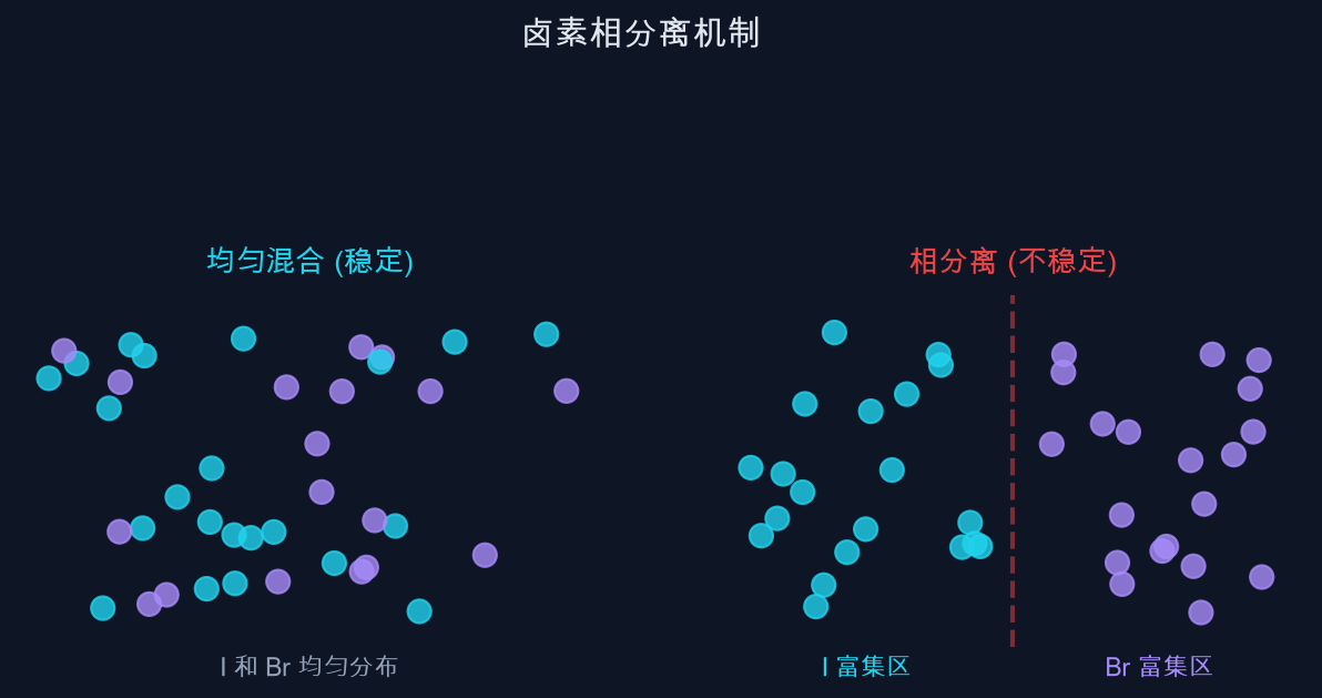 图2:卤素相分离机制