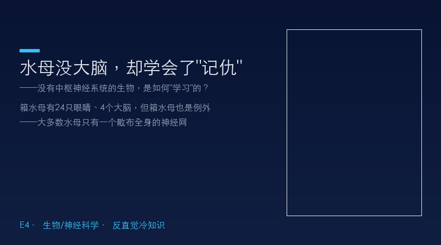 水母没大脑,却学会了"记仇":没有中枢神经系统怎么学习?
