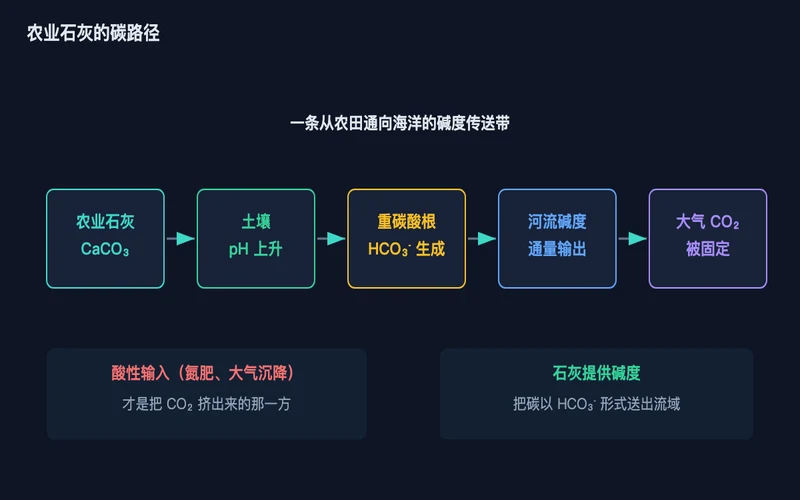 图1：从农田到海洋的碱度传送带，石灰提供的是把碳带走的载体