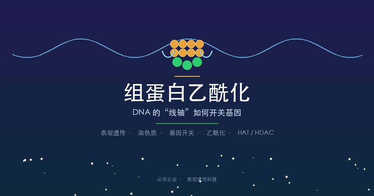 组蛋白乙酰化是怎么回事？为什么叫组蛋白